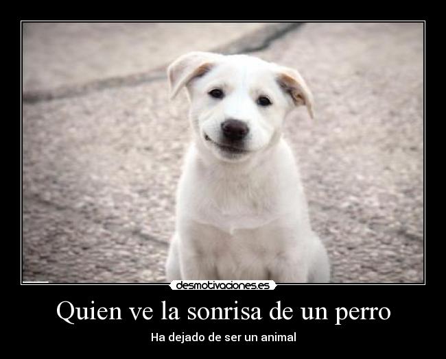 Quien ve la sonrisa de un perro - Ha dejado de ser un animal