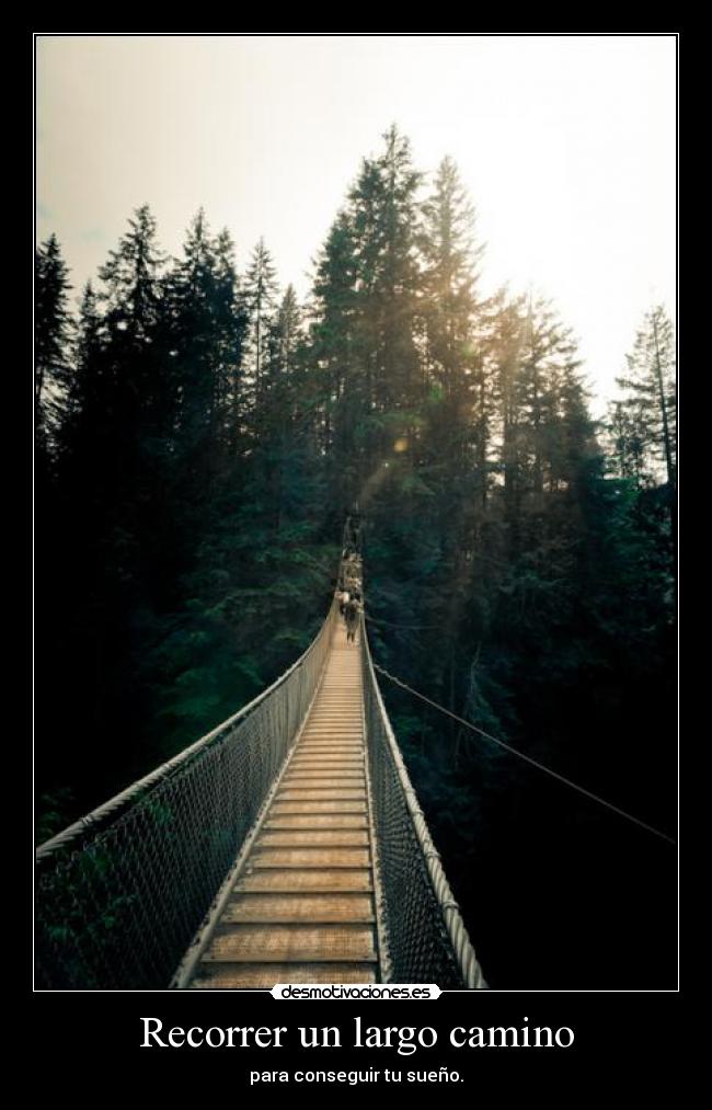 carteles love desmotivaciones