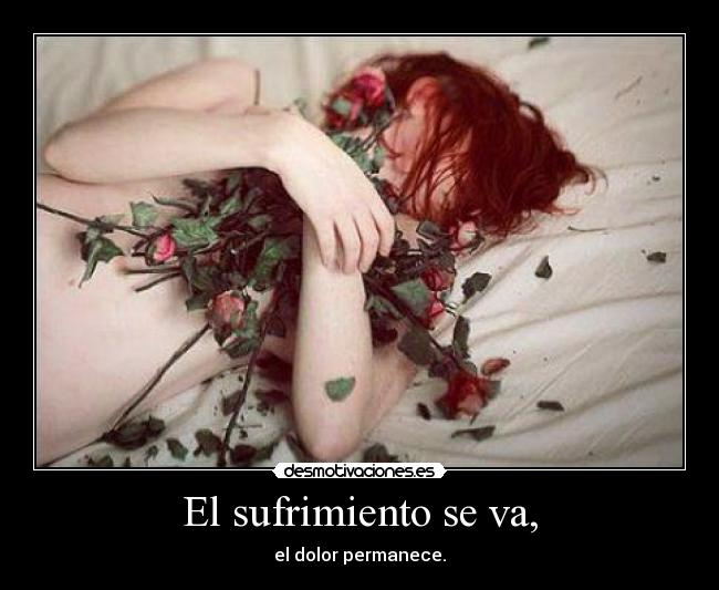 carteles nou nat alon unicorniosfelices desmotivaciones