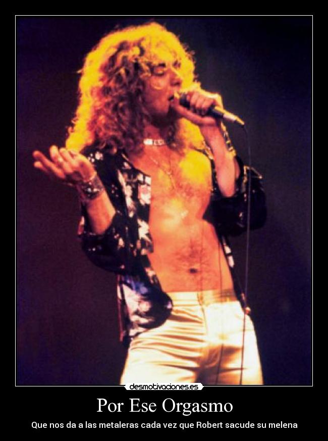 carteles robert plant led zeppelin metal rock desmotivaciones