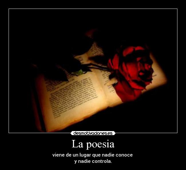 La poesia - viene de un lugar que nadie conoce
y nadie controla.