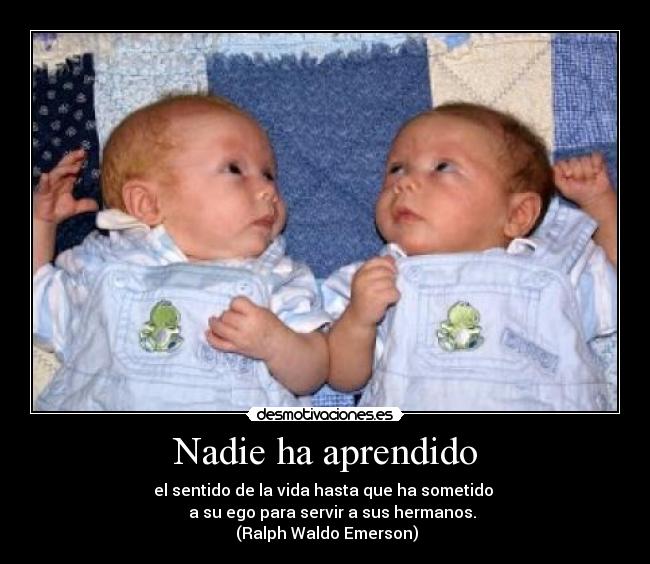 carteles nadie aprendido sentido vida hasta que sometido ego para servir sus hermanos desmotivaciones