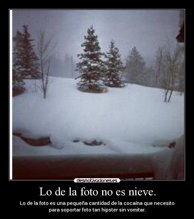 Lo de la foto no es nieve. - Lo de la foto es una pequeña cantidad de la cocaína que necesito
para soportar foto tan hipster sin vomitar.