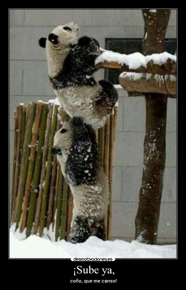 ¡Sube ya, - 
