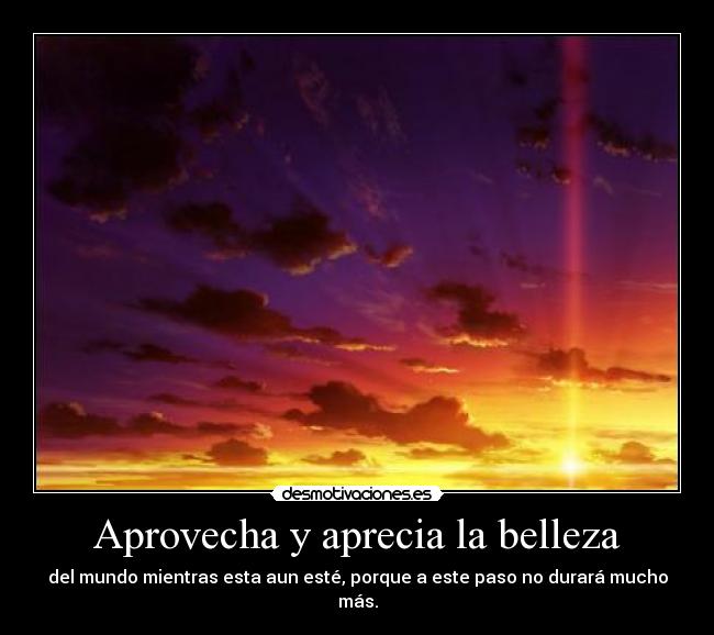 Aprovecha y aprecia la belleza -