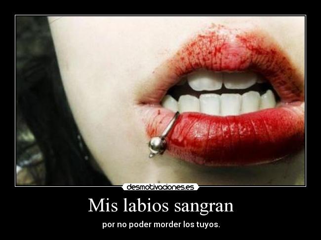 carteles quiero que vaciles para volverte morder desmotivaciones