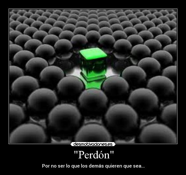 Perdón -