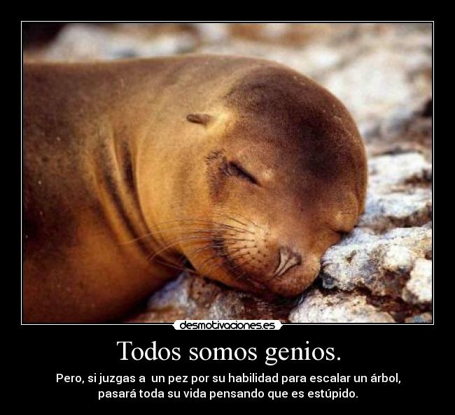 Todos somos genios. -