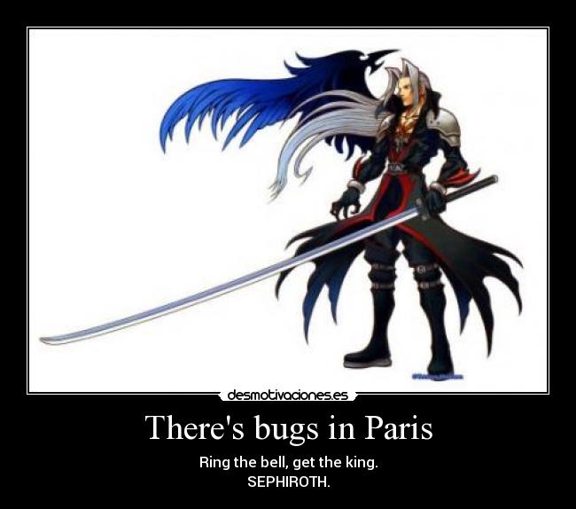 Theres bugs in Paris - Ring the bell, get the king.
SEPHIROTH.