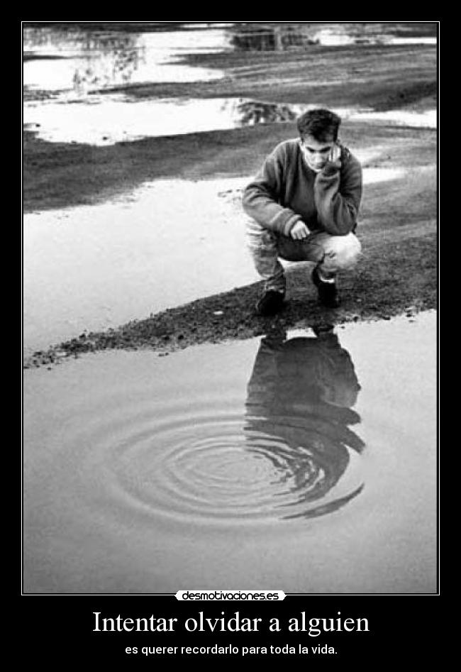 carteles olvidar laiam vida olvido desmotivaciones