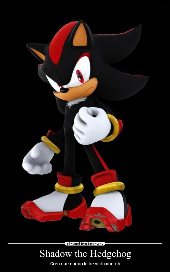 Shadow the Hedgehog -