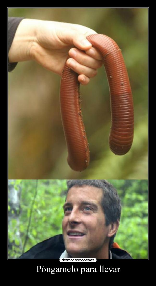 Póngamelo para llevar - 