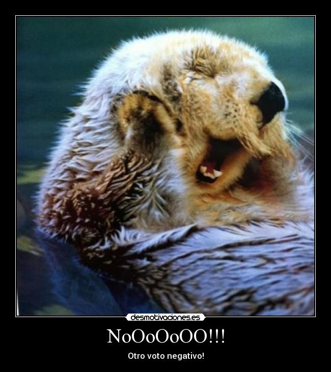 NoOoOoOO!!! - Otro voto negativo!