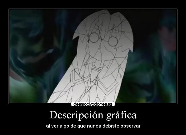 Descripción gráfica -