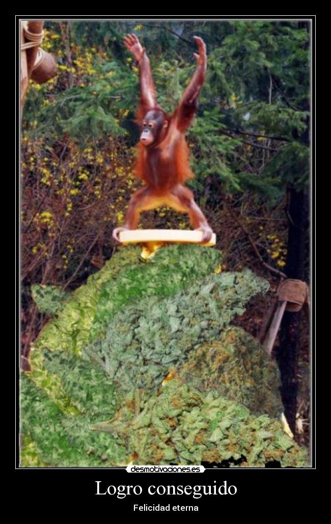 Logro conseguido - Felicidad eterna