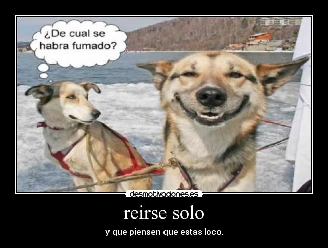 carteles true history desmotivaciones