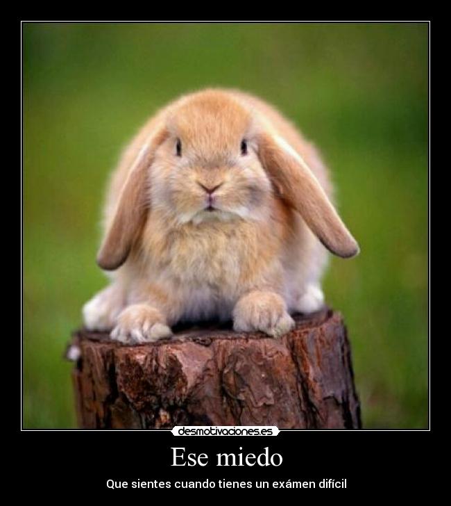 Ese miedo - Que sientes cuando tienes un exámen difícil