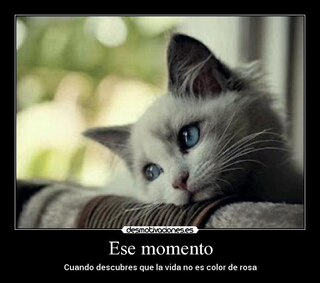 Ese momento - Cuando descubres que la vida no es color de rosa