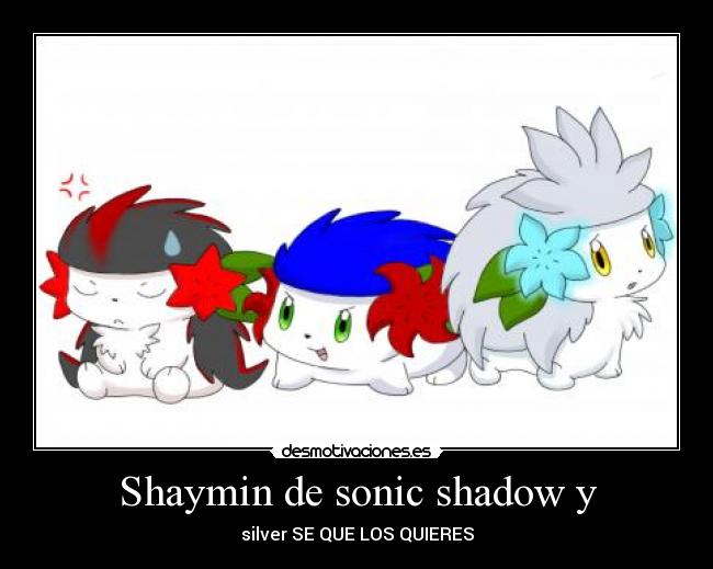 Shaymin de sonic shadow y -