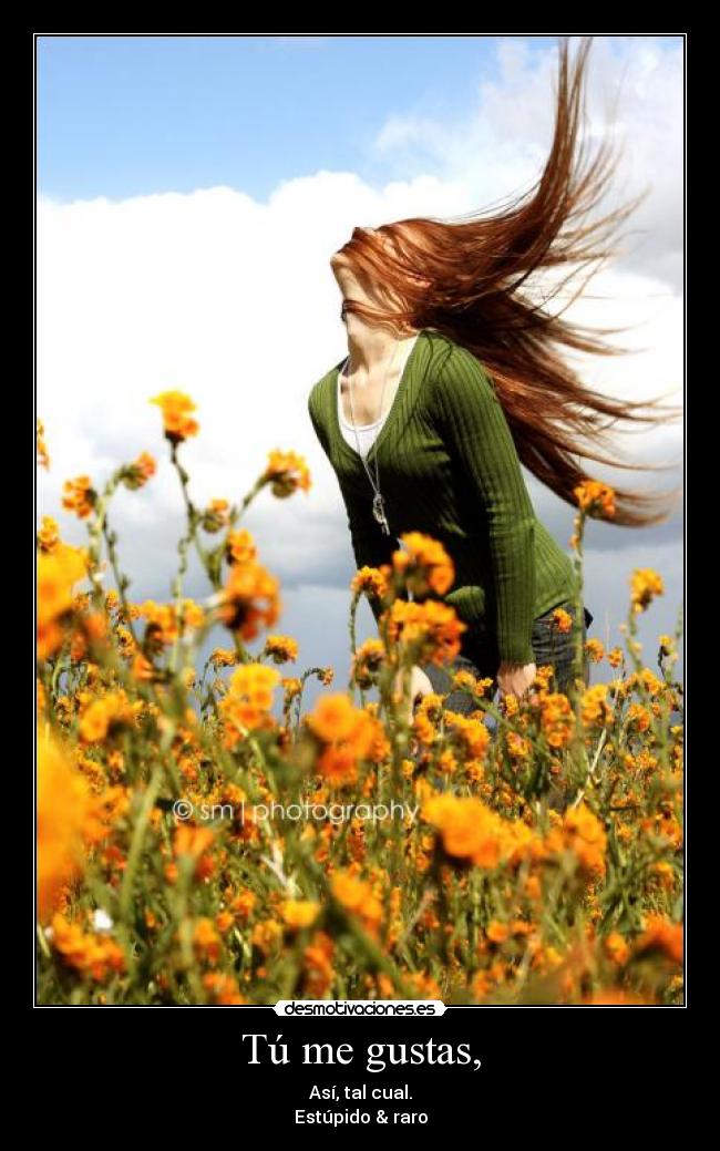 Tú me gustas, - Así, tal cual.
Estúpido & raro