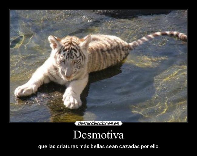 Desmotiva -