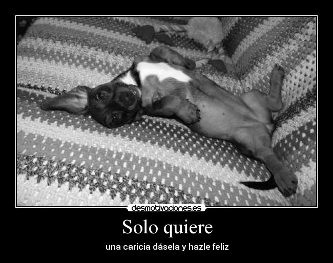 Solo quiere -