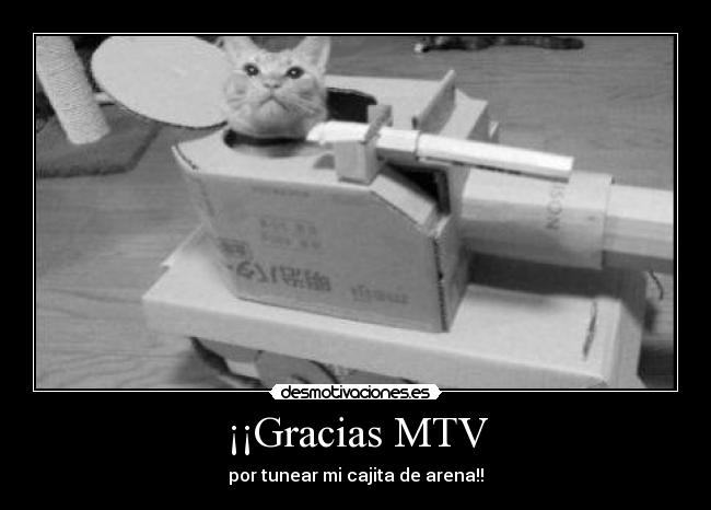 ¡¡Gracias MTV - por tunear mi cajita de arena!!