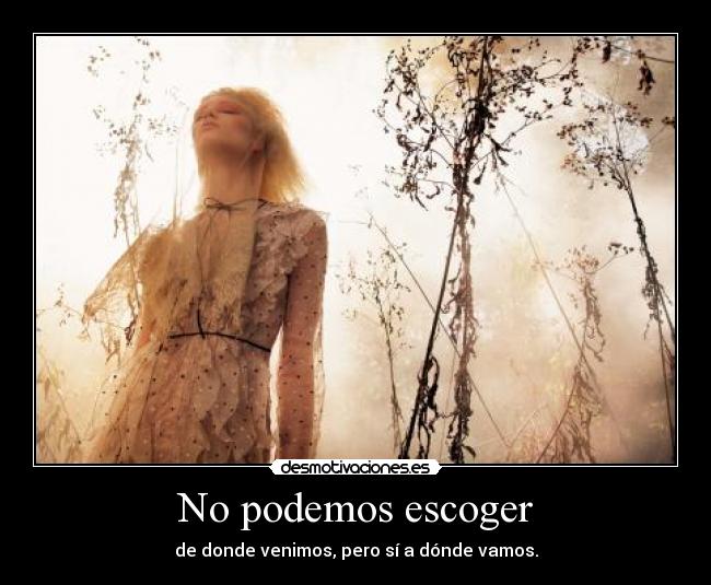 carteles vdsum desmotivaciones