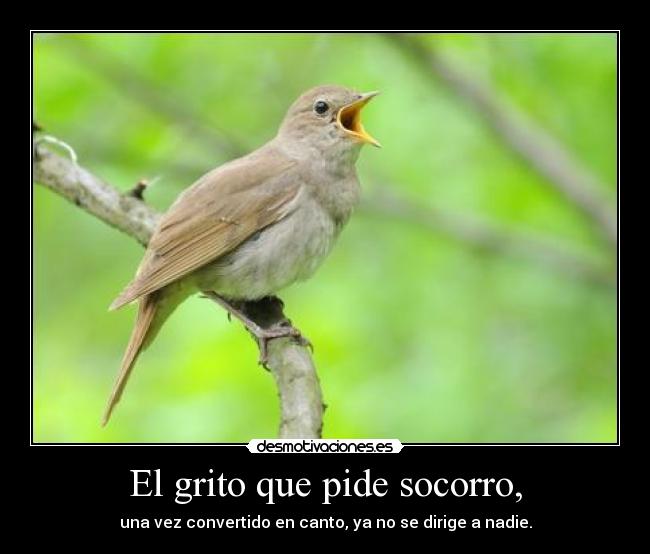 El grito que pide socorro, - una vez convertido en canto, ya no se dirige a nadie.