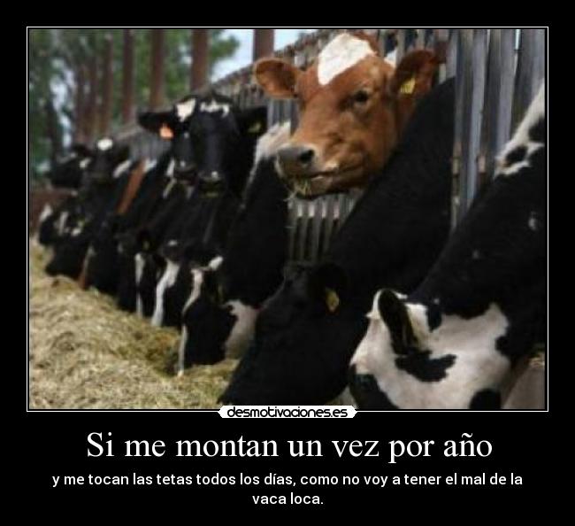 Si me montan un vez por año - 