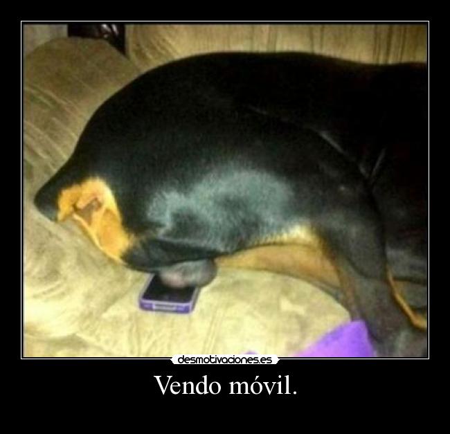 Vendo móvil. -