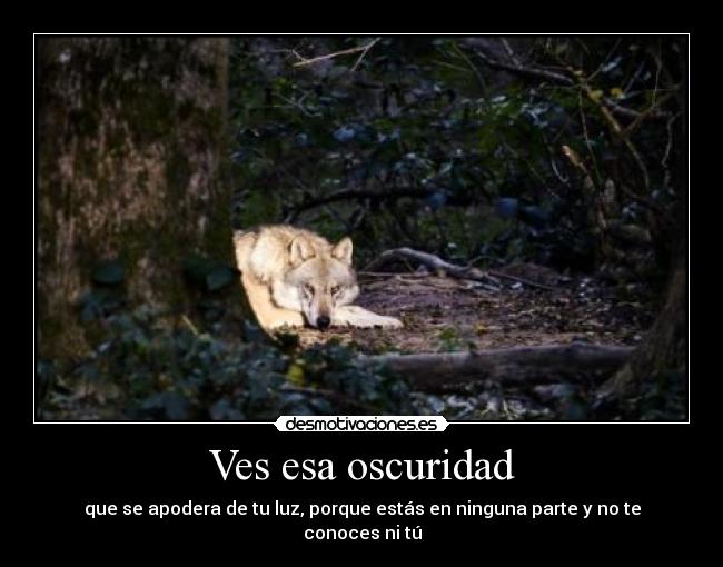 carteles malaquita desmotivaciones