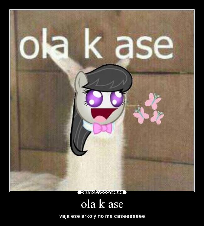 ola k ase - vaja ese arko y no me caseeeeeee