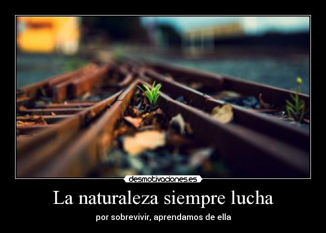 La naturaleza siempre lucha -