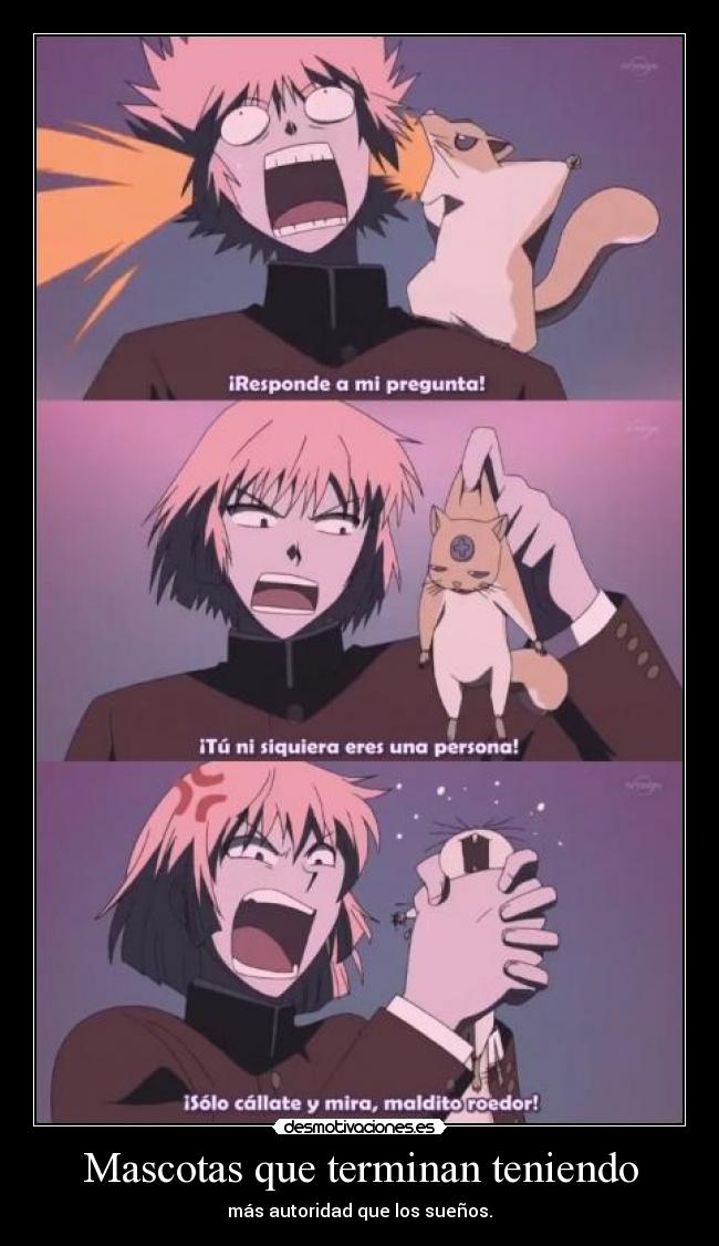 Mascotas que terminan teniendo -