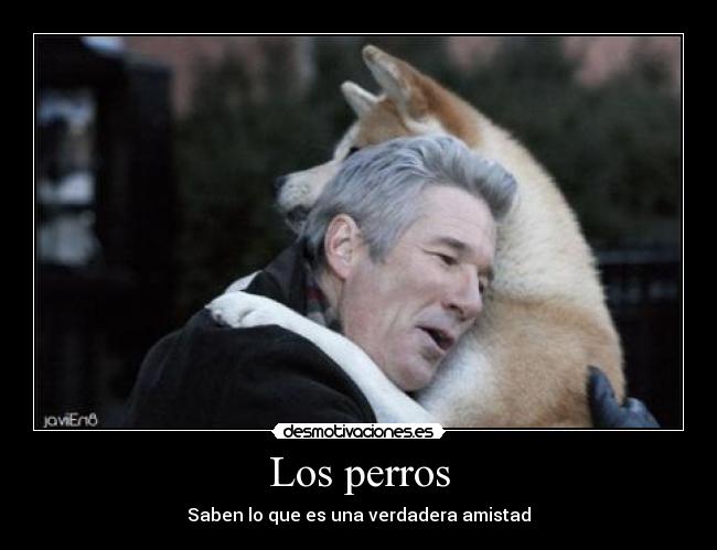 Los perros - Saben lo que es una verdadera amistad