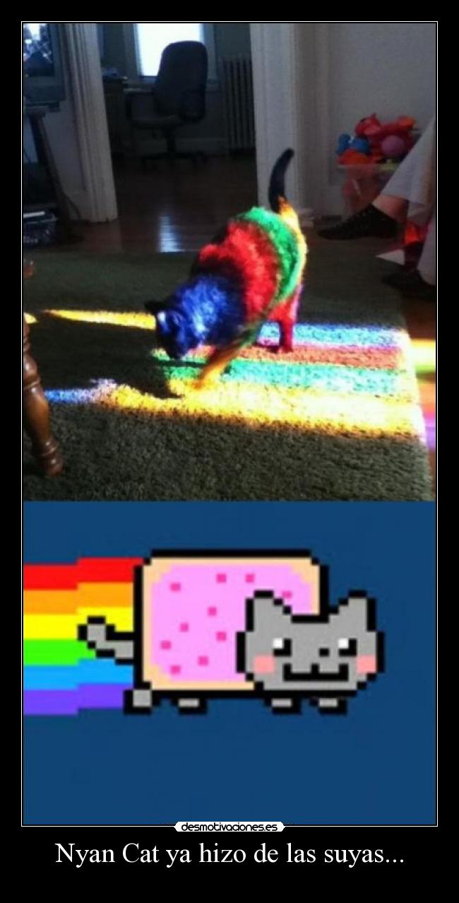 Nyan Cat ya hizo de las suyas... - 