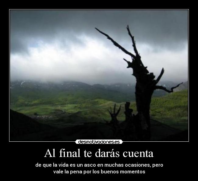 Al final te darás cuenta - de que la vida es un asco en muchas ocasiones, pero
vale la pena por los buenos momentos