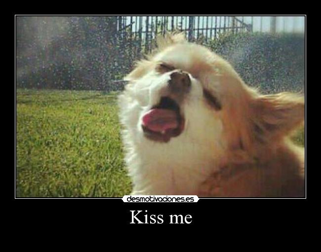Kiss me - 