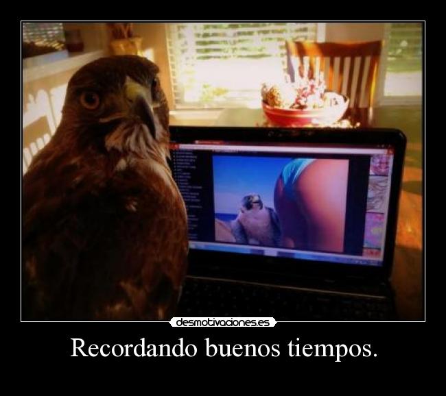 carteles perdone una vez pero dos veces desmotivaciones