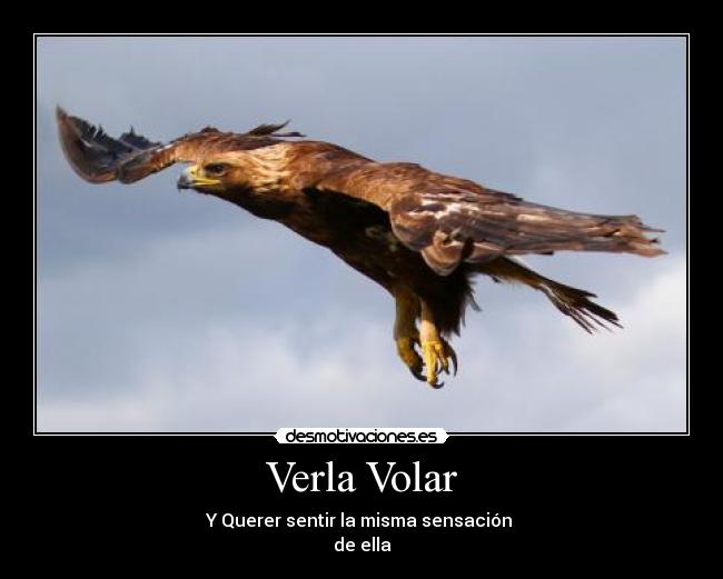 Verla Volar - Y Querer sentir la misma sensación
de ella