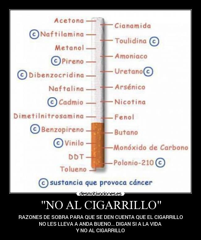 NO AL CIGARRILLO - RAZONES DE SOBRA PARA QUE SE DEN CUENTA QUE EL CIGARRILLO
NO LES LLEVA A ANDA BUENO... DIGAN SI A LA VIDA
Y NO AL CIGARRILLO