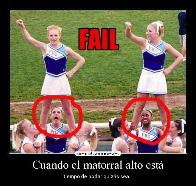 Cuando el matorral alto está -