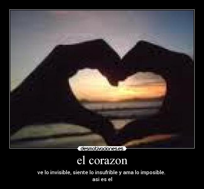 el corazon -