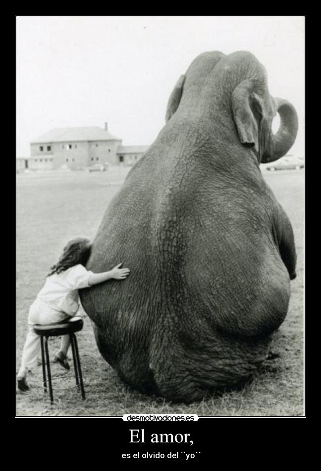 El amor, - 