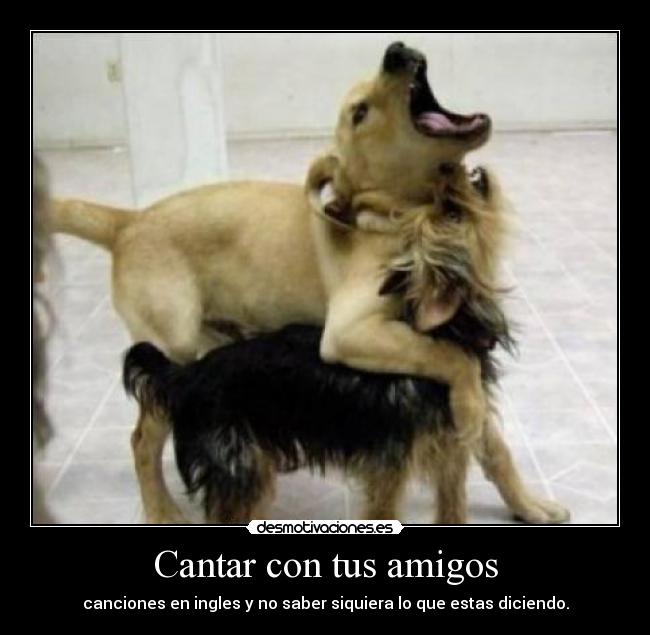 Cantar con tus amigos - 