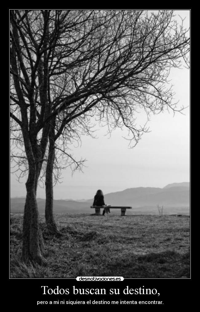 carteles destino soledad desmotivaciones