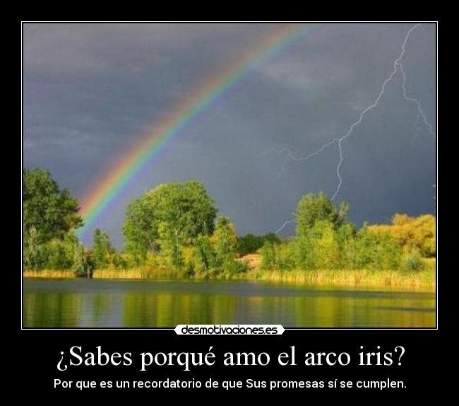 ¿Sabes porqué amo el arco iris? -