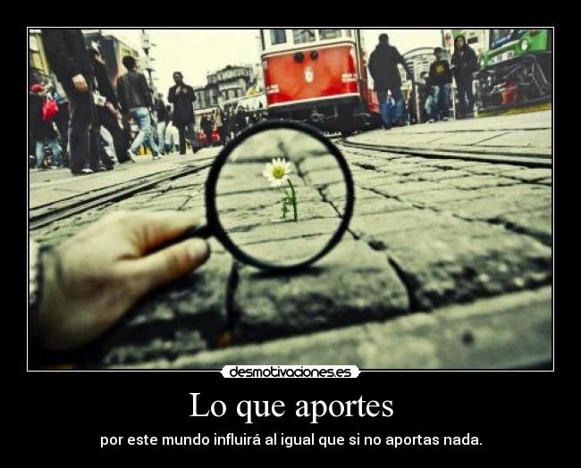 Lo que aportes - 