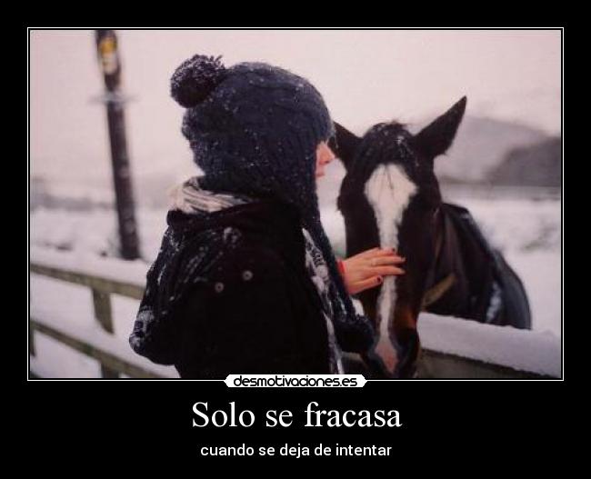 Solo se fracasa - cuando se deja de intentar